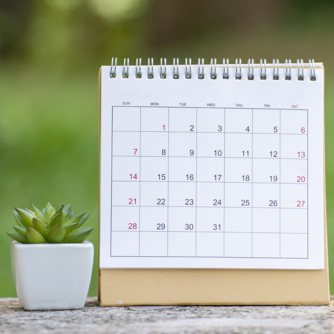 Veranstaltungstipps August 2022