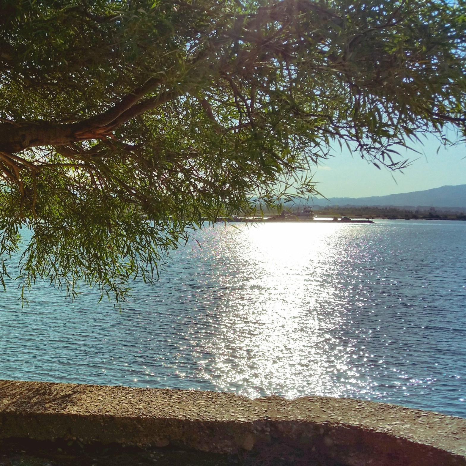 Badeseen im Ammerland