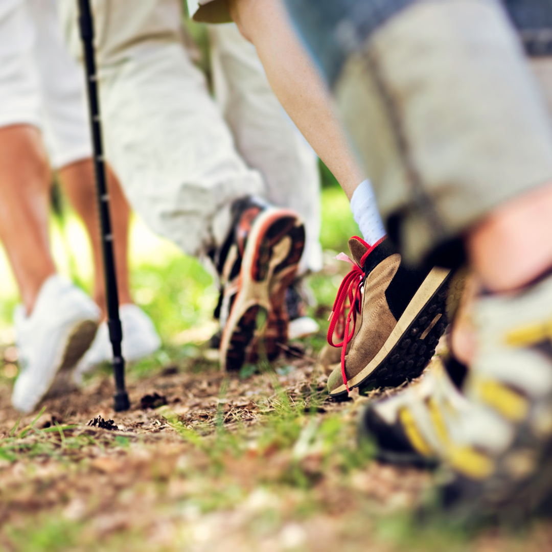 Gemeinsames Laufen und Walken Ammerland Blog