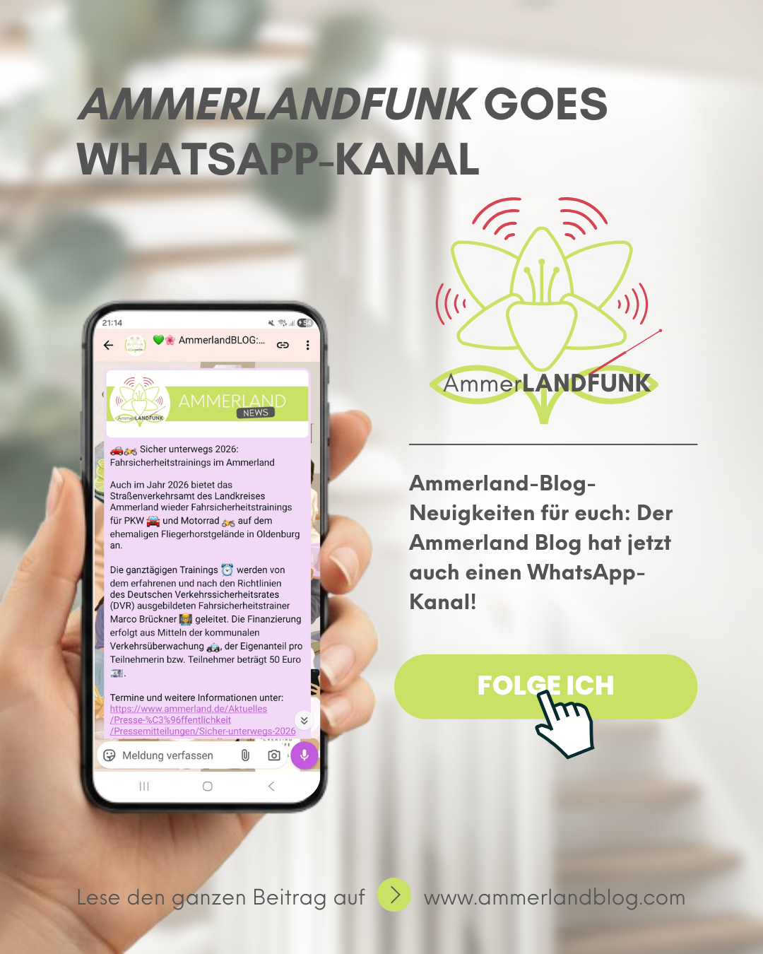 Ammerland Blog WhatsApp-Kanal