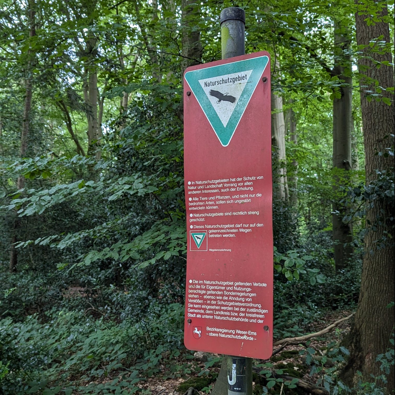 Naturschutzgebiet im Ammerland – Stamers Hop