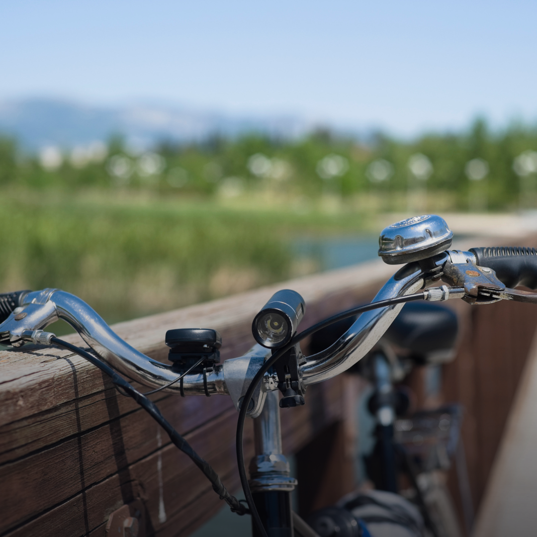 Entdeckungstour mit dem E-Bike