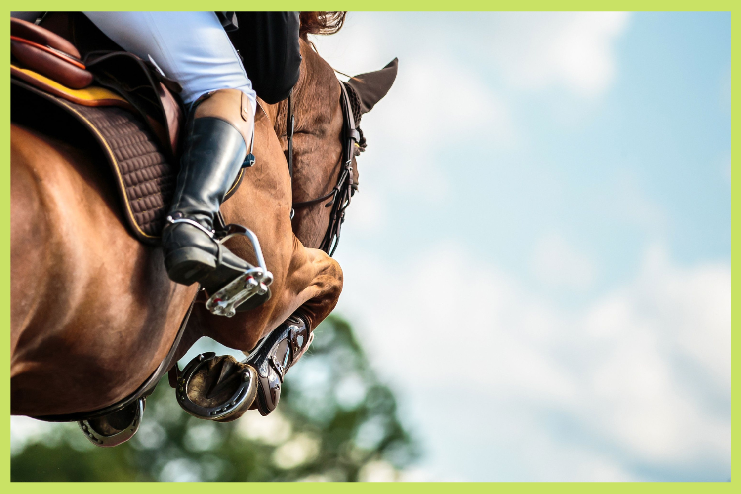 Reitsport im Ammerland: Die Sommer-Highlights 2025