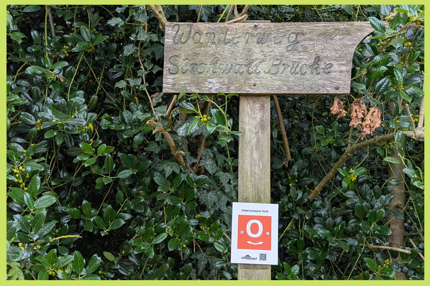 Dein nächstes Wanderabenteuer: Osterschepser Esch