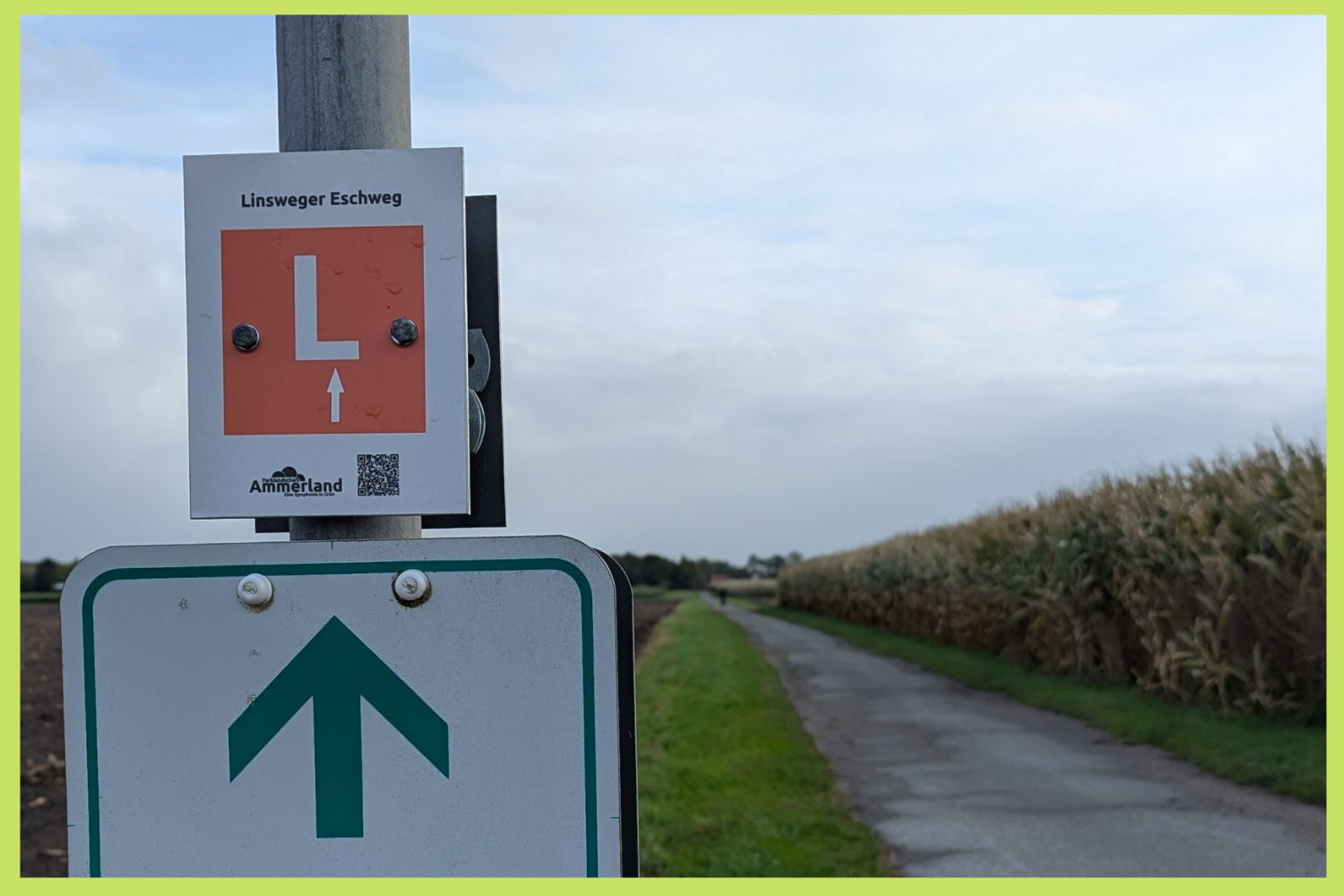 Herbst-Spaziertipp: Der Linsweger Eschweg