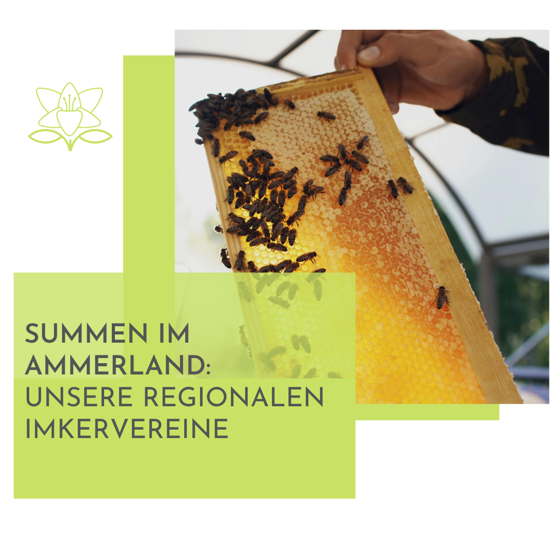 Summen im Ammerland: Unsere regionalen Imkervereine