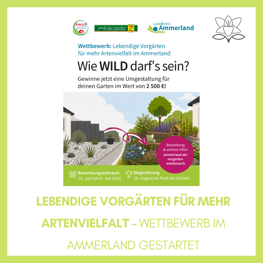 Lebendige Vorgärten für mehr Artenvielfalt – Wettbewerb im Ammerland gestartet