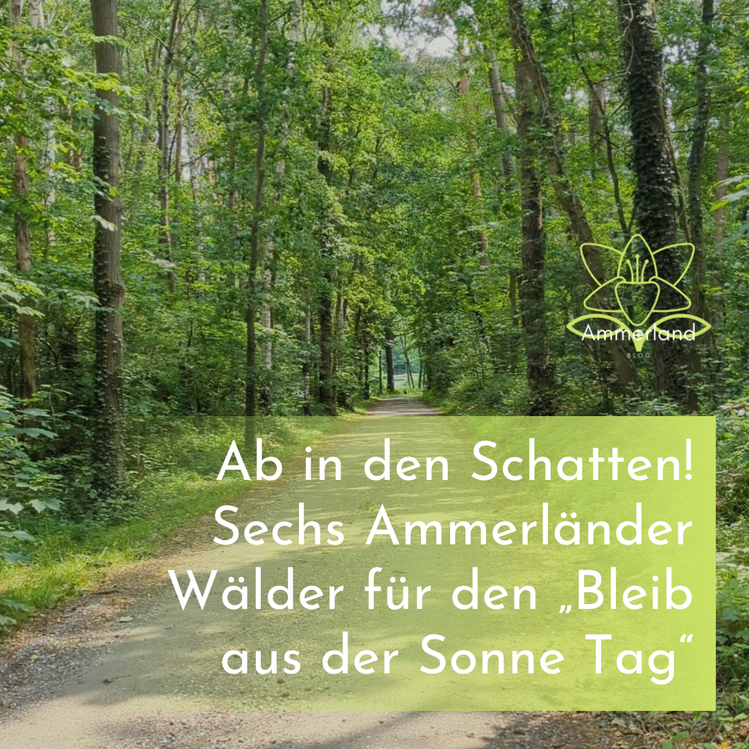 Ab in den Schatten! Sechs Ammerländer Wälder für den „Bleib aus der Sonne Tag“