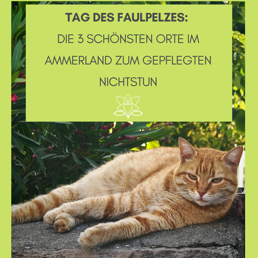 Tag des Faulpelzes: Die 3 schönsten Orte im Ammerland zum gepflegten Nichtstun