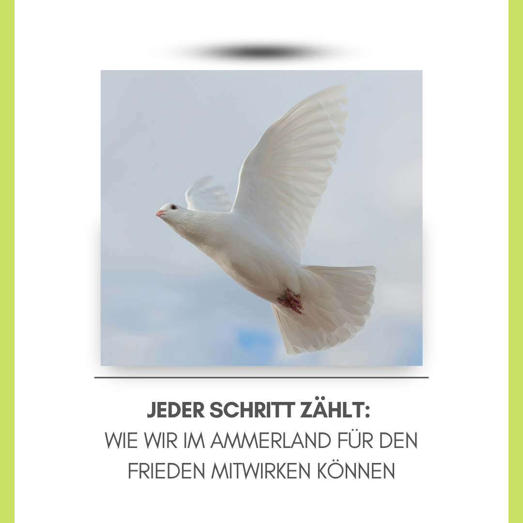 Jeder Schritt zählt: Wie wir im Ammerland für den Frieden mitwirken können
