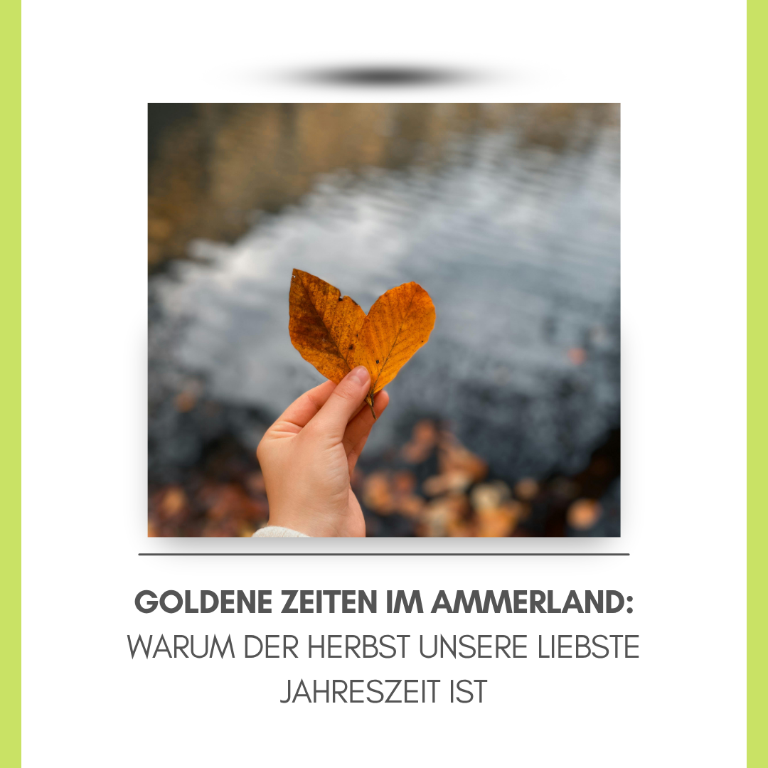 Goldene Zeiten im Ammerland: Warum der Herbst unsere liebste Jahreszeit ist