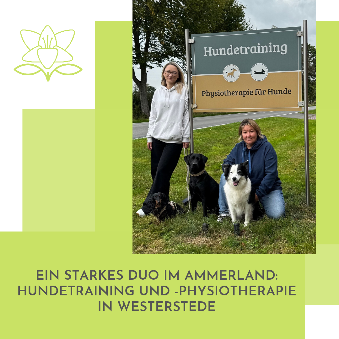 Ein starkes Duo im Ammerland: Hundetraining und Hundephysiotherapie in Westerstede